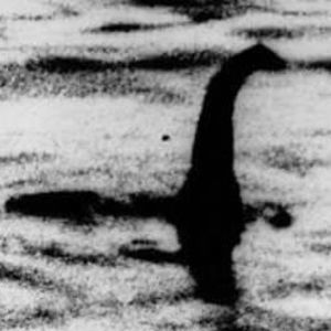 Meet your Posher, Jimmy